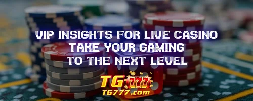 VIP Insights for Live Casino: Take Your Gaming to the Next Level
